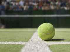网球球网球法院关闭