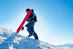 滑雪攀爬红色的滑雪板山阳光明媚的一天滑雪冬天体育