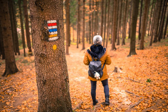 旅游标志马克树旅游路径女旅游背景不错的秋天场景福勒斯特小道
