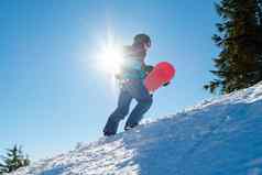 滑雪攀爬红色的滑雪板山阳光明媚的一天滑雪冬天体育