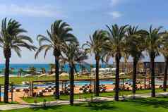 酒店理由游泳池清晰的蓝色的海树夏天阳光明媚的一天棕榈树沙子