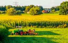美丽的农田rhenen城市拖拉机农村风景荷兰