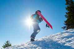 滑雪攀爬红色的滑雪板山阳光明媚的一天滑雪冬天体育