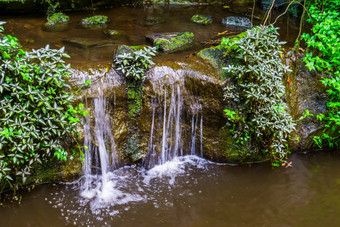 小瀑布池塘美丽的花园体系结构自然背景