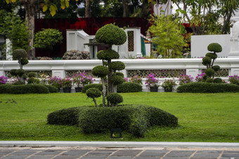 树植物公园观赏植物<strong>装修</strong>公共的地方公园广场<strong>私人</strong>草坪