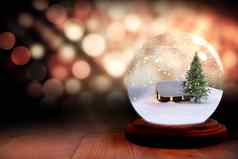 圣诞节树房子雪全球