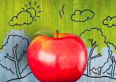 苹果色彩鲜艳的画木自然图纸