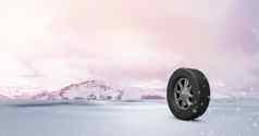 轮胎冬天雪景观