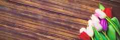 色彩斑斓的郁金香木地板上