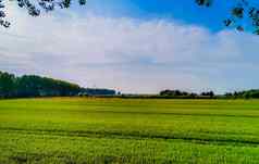 美丽的绿色农场土地等级annaland旅游小镇泽兰荷兰