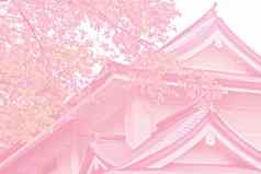 粉红色的语气樱花樱桃开花花树传统的中方通过