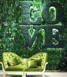 室内绿色草植物墙爱词经典sof