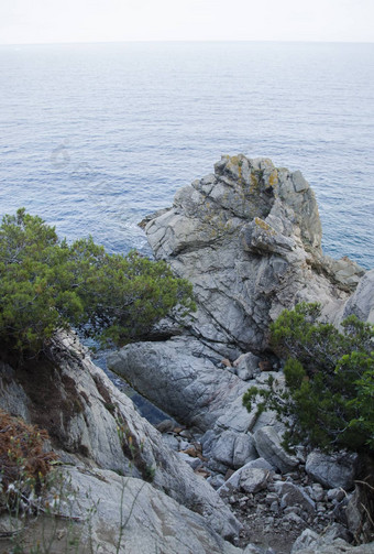 岩石海岸略雷特三月美丽的夏天一天科斯塔布拉瓦加泰罗尼亚西班牙海滨略雷特三月科斯塔布拉瓦西班牙岩石海岸略雷特三月