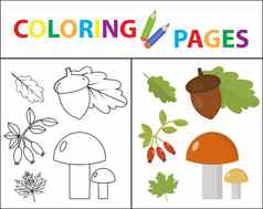 着色书页面孩子们森林集草图大纲颜色版本儿童教育插图