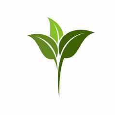 绿色叶生态标志模板插图设计向量每股收益