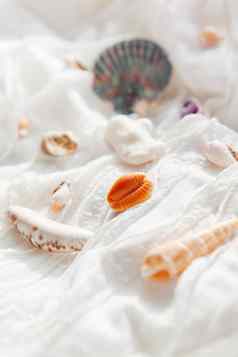 白色纺织背景贝壳海珊瑚织物辫褶