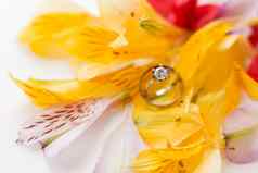 一对婚礼订婚环色彩斑斓的alstroemeria花自然背景象征爱婚姻关闭