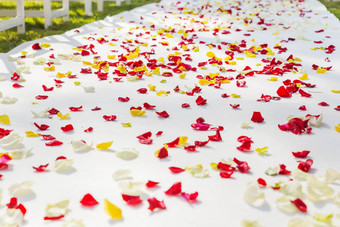 织物路径花拱婚礼仪式装饰玫瑰花瓣婚礼集在户外公园