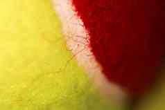 网球球宏特写镜头纹理网球背景体育运动