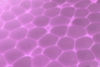 淡紫色泡沫塑料纹理摘要聚苯乙烯泡沫塑料背景宏特写镜头