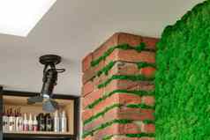 砖墙装饰绿色莫斯