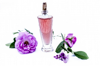 关闭拍摄香水气味喷雾玫瑰蔷薇属古拉布透明的玻璃瓶孤立的白色玫瑰花