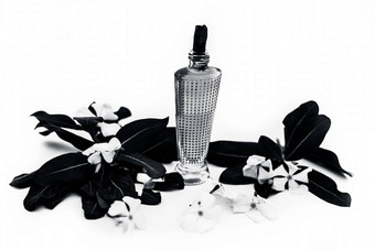 关闭香水喷雾年度文卡马达加斯加小长春花萨达巴哈尔萨达巴哈尔透明的玻璃瓶生花孤立的白色