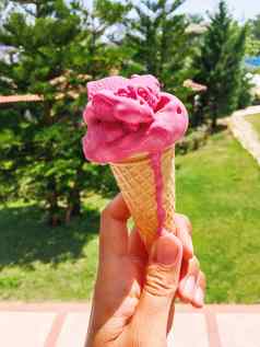 粉红色的美味的冰淇淋锥手公园绿色树背景阳光明媚的一天冷甜点