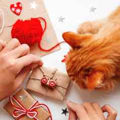 女人包装Diy礼物工艺纸礼物系白色红色的线程玩具火车装饰可爱的姜猫shiffing
