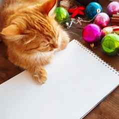 可爱的姜猫说谎清晰的纸页面圣诞节一年装饰明亮的色彩斑斓的球记事本纸的备忘录一年承诺