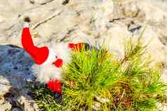 豪华的圣诞老人老人岩石象征圣诞节假期