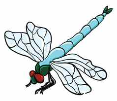 蓝色的蜻蜓插图向量白色背景