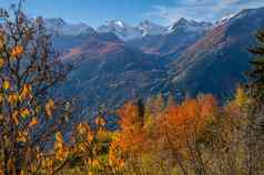 景观意大利阿尔卑斯山脉秋天