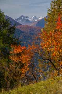 景观意大利阿尔卑斯山脉秋天