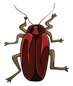 红色的蟑螂插图向量白色背景