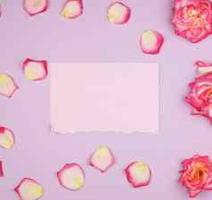 空粉红色的纸表味蕾粉红色的玫瑰节日使用