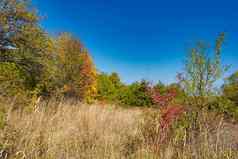 色彩斑斓的秋天景观宁静的秋天风景图像