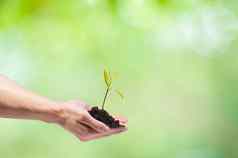 爱世界爱环境手种植树