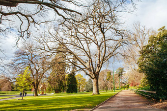 朗塞斯顿建立起来城市公园塔斯马尼亚澳大利亚