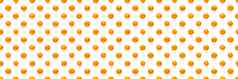 孤立的橘子柑橘类集合背景橘子普通话橙色水果孤立的白色背景横幅