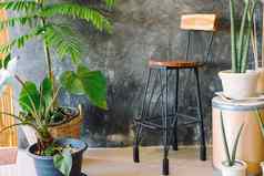 植物能装修木椅子
