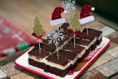 自制的生奶油巧克力蛋糕装饰圣诞节装饰
