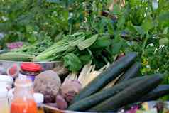 生菜蔬菜新鲜的有机蔬菜收获