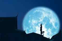 周日佛超级蓝色的月亮晚上天空阿桑哈布查一天