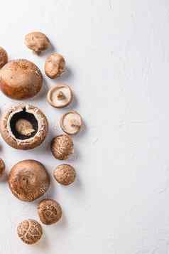 香菇波多贝罗蘑菇集白色背景前视图空间文本