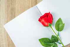红色的玫瑰笔记本日记情人节概念
