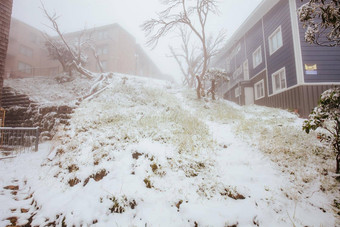 澳大利亚夏天雪风暴布勒