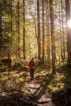 徒步旅行森林秋天时间女孩运动服装阳光温暖的颜色