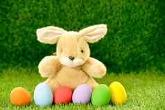 复活节鸡蛋兔子草