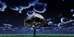 树晚上完整的月亮渲染